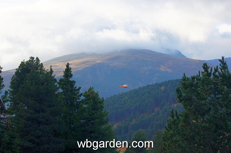 wbgarden alps 50.JPG